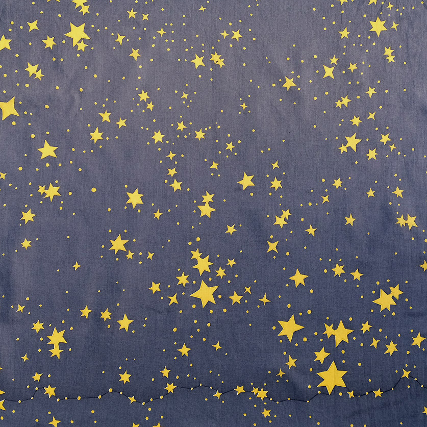 【　銀河団　Galaxy　】