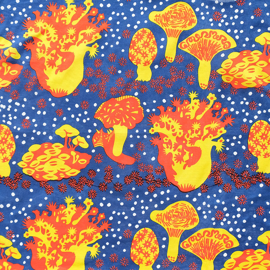 【　キノコ　Mushroom　】