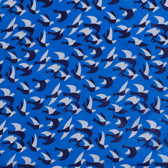 【　鳥　Bird　】