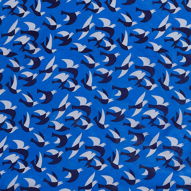 【　鳥　Bird　】