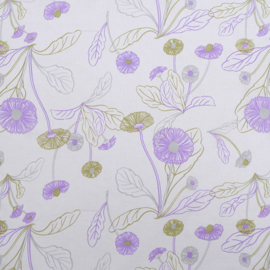 【　ひなぎく　Daisies　】