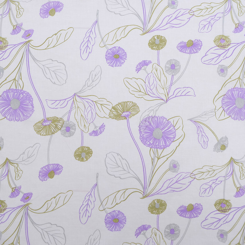 【　ひなぎく　Daisies　】