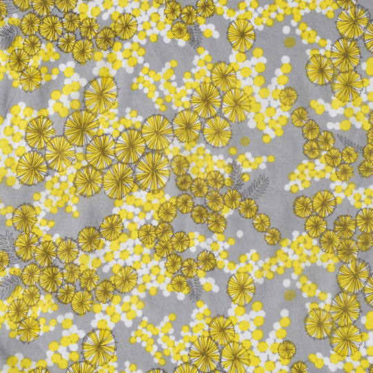 【　ミモザ　Mimosa　】