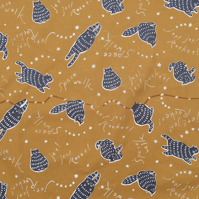 【　宇宙ネコ　】